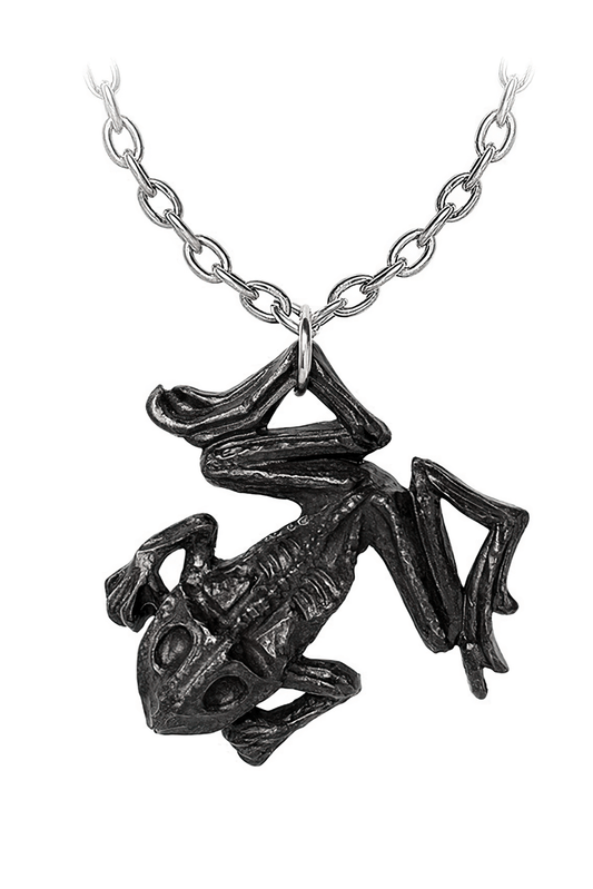 Gothic Dead Frog Talisman Pendant With Pewter Chain