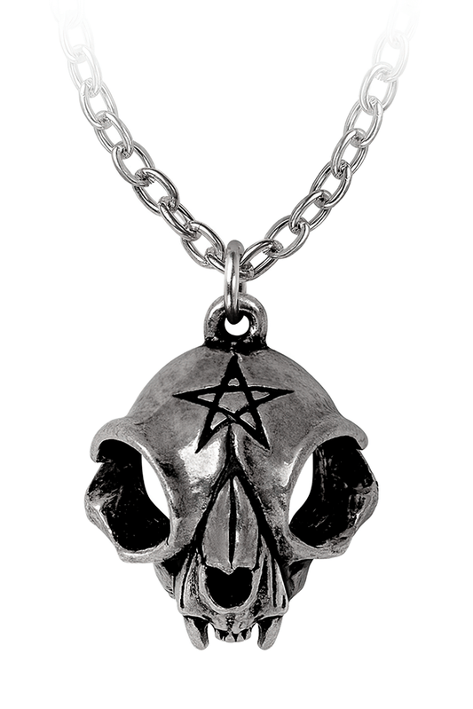 Polished Cat Skull Pendant With Pentagram Design