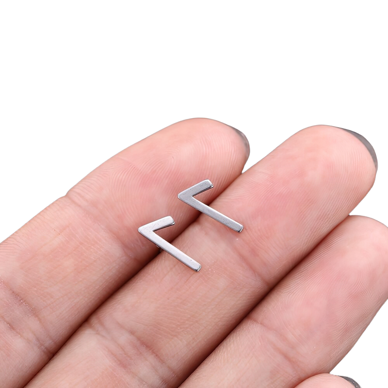 Stainless Steel Jewelry / Silver Earrings / Gothic Style Earrings