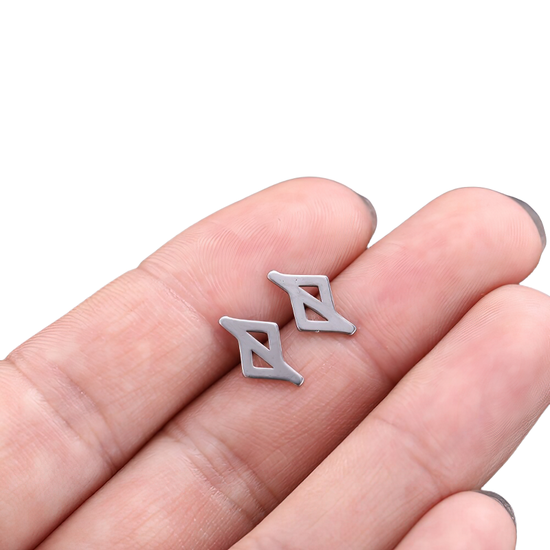Stainless Steel Jewelry / Silver Earrings / Gothic Style Earrings